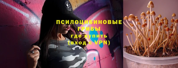 стаф Надым