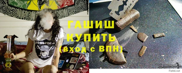 стаф Надым