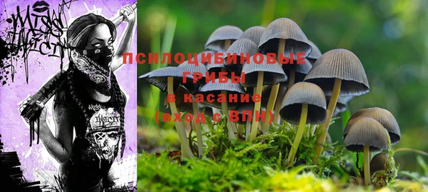 стаф Надым