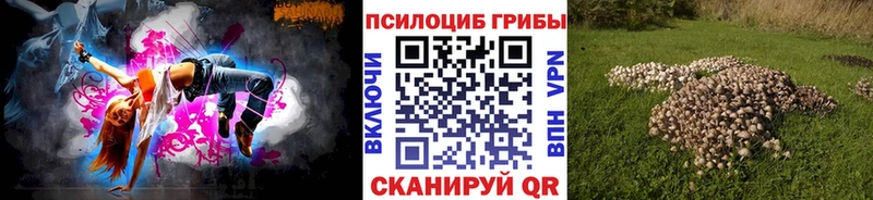 Псилоцибиновые грибы Cubensis  Тюкалинск 